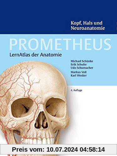 Kopf, Hals und Neuroanatomie (Prometheus: LernAtlas der Anatomie)